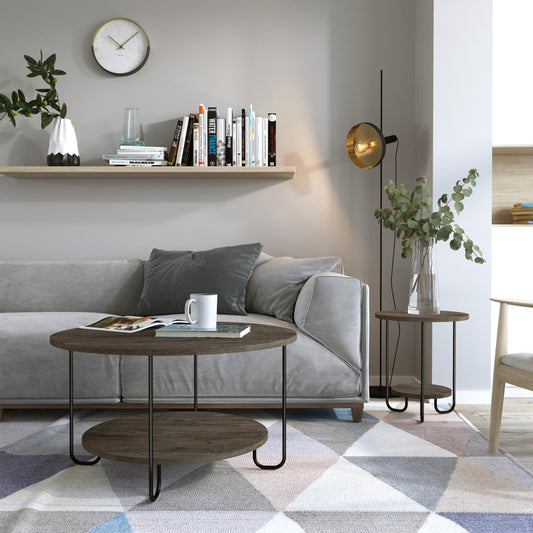 Modern living room with a gray sofa, wooden coffee table.