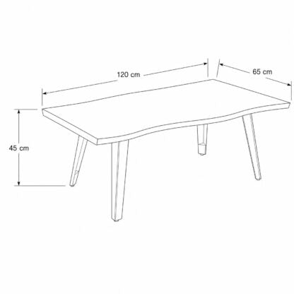 Black and white line drawing of a rectangular table with legs, showing dimension labels of 120 cm, 65 cm, and 45 cm on a plain white background.