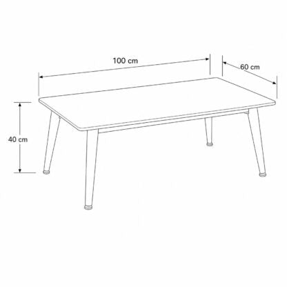 Black and white line drawing of a rectangular table with dimension annotations showing 100 cm length, 60 cm width, and 40 cm height.