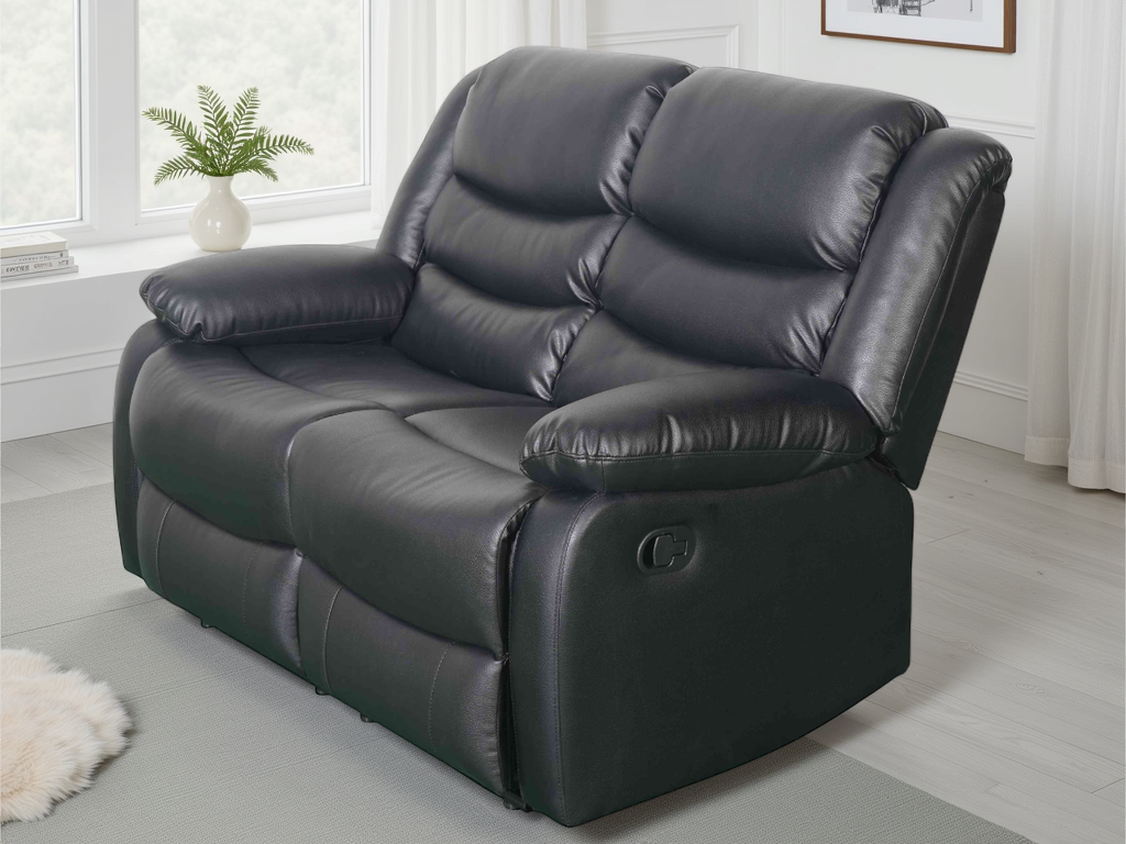 Black leather sofa in a room with a plant and window