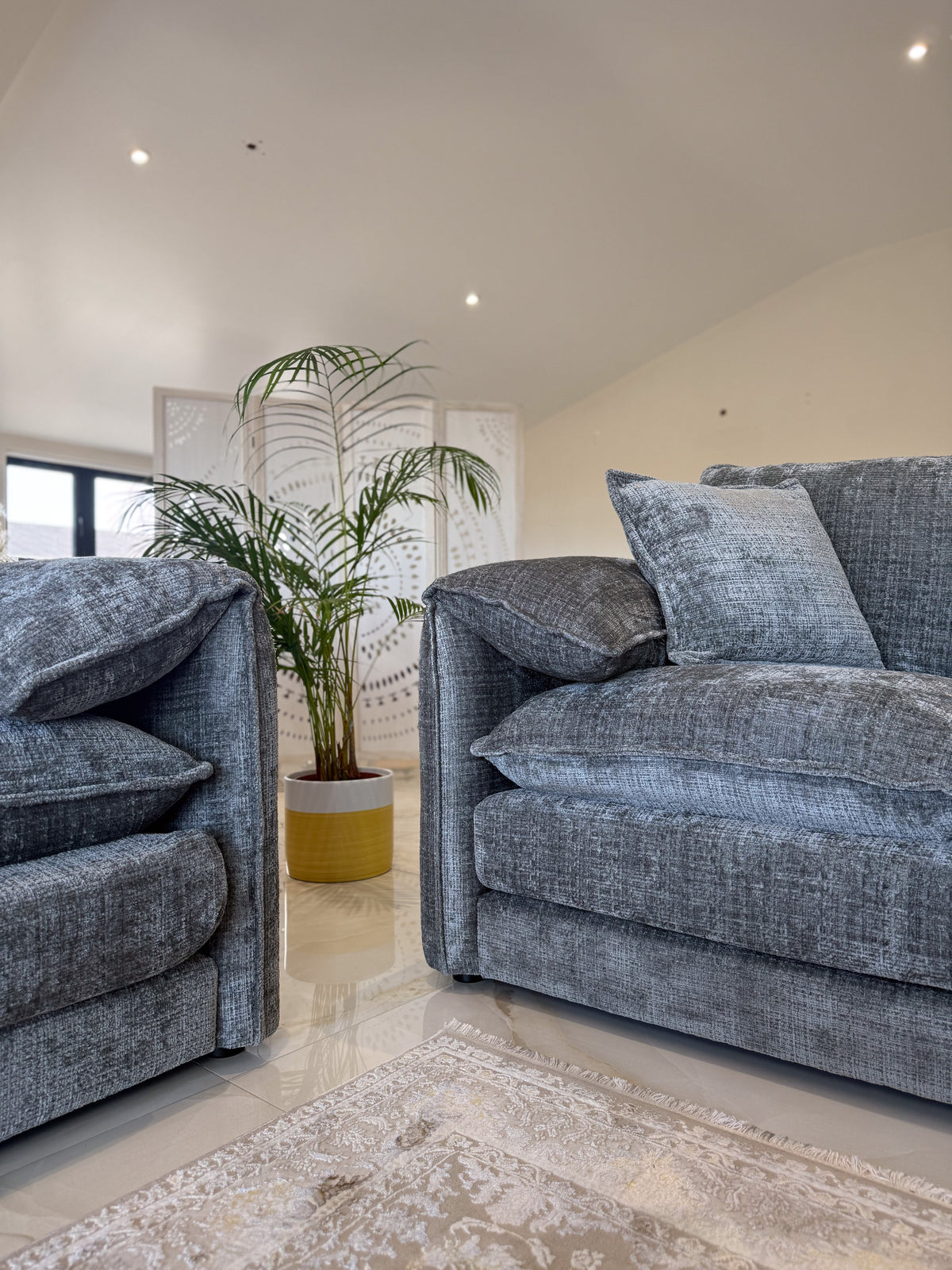 Gray sofa in a living room with a plant and decorative rug.