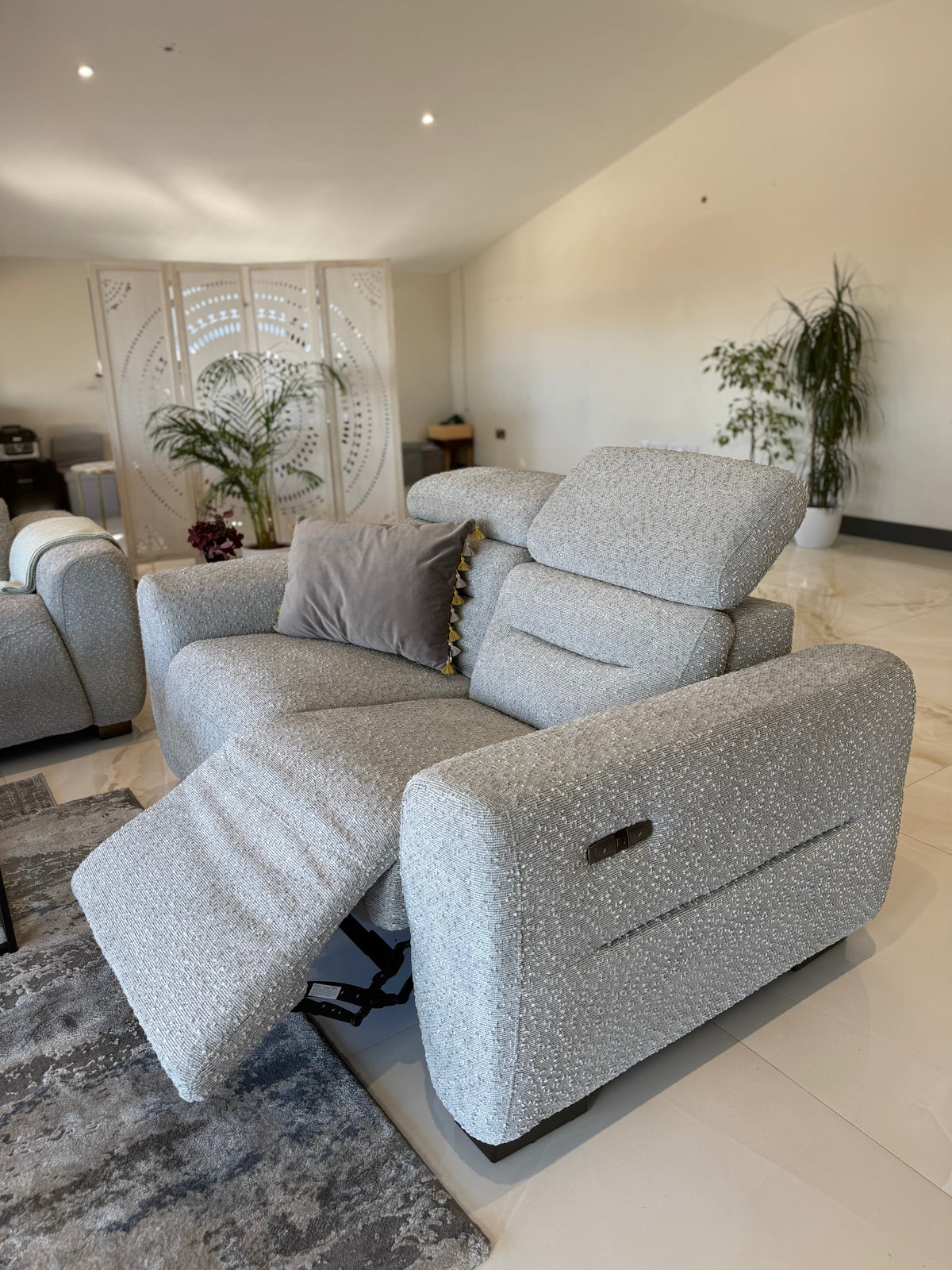 Gray sectional sofa in a modern living room with plants and decor.