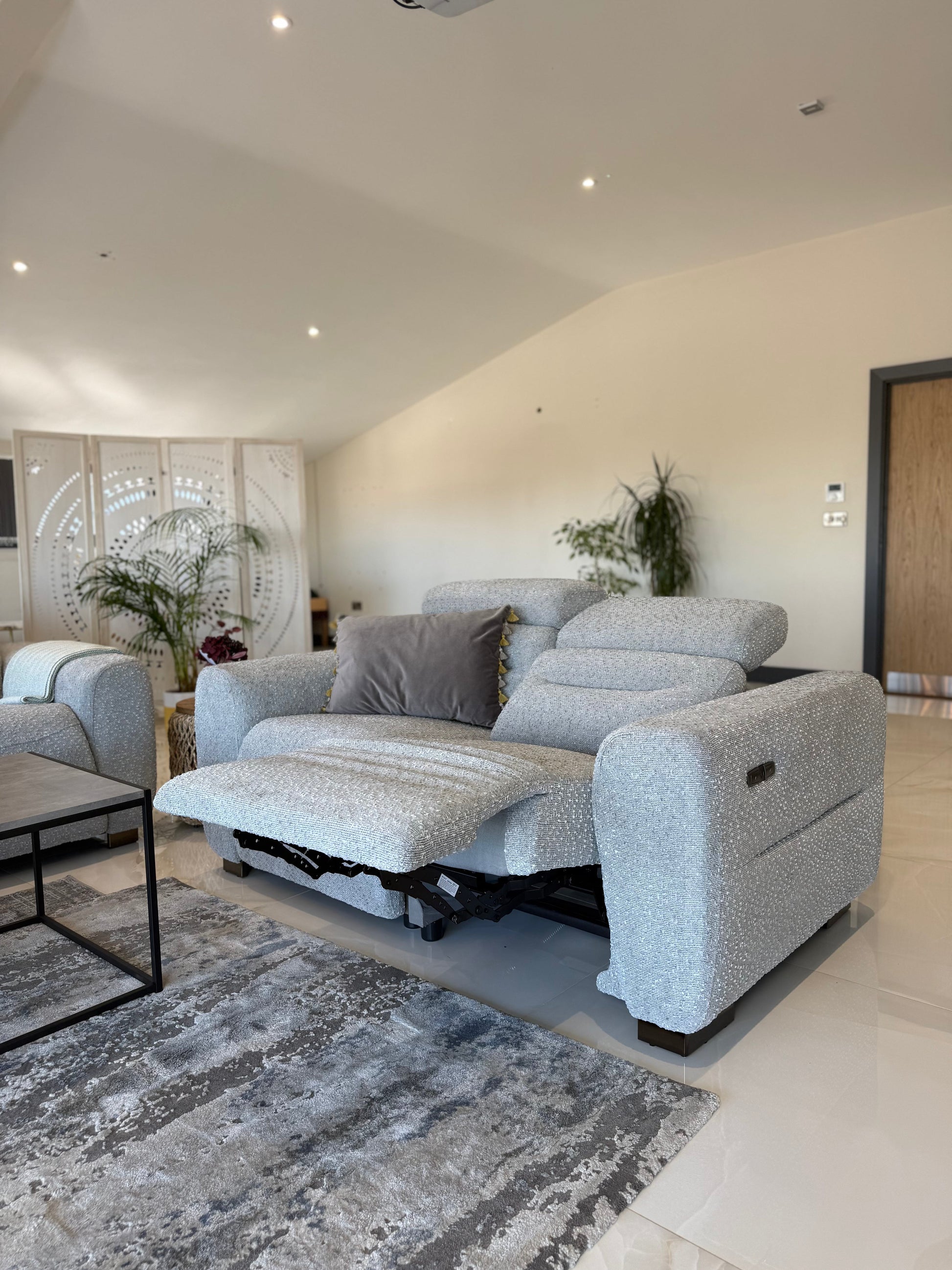 Gray sofa in a modern living room with plants and a rug.